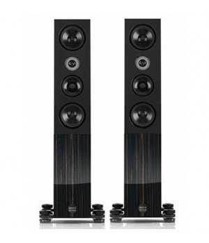 Напольная акустика Audio Physic MIDEX -Black Ebony High Gloss-