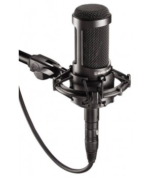 Студийный микрофон Audio-Technica AT2035