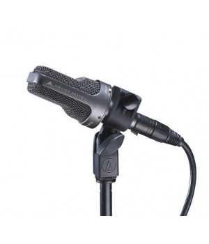 Инструментальный микрофон Audio-Technica AE3000