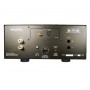 Усилитель мощности Cary Audio SA-500.1 Silver