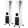 Напольная акустика Dynaudio XEO 30 Satin White