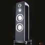 Напольная акустика Monitor Audio Platinum PL300 II Black Gloss
