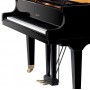 Акустический рояль Ritmuller GP-170 R1 A111