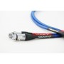 Акустический кабель Tellurium Q XLR Blue 1.5 м