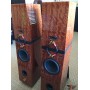 Напольная акустика Verity Audio Rienzi Natural Sycamore