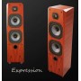 Legacy Audio Expression Rosewood