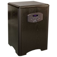 Legacy Audio Point One Black Oak