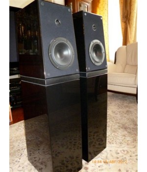 Напольная акустика Verity Audio Rienzi High Gloss Piano Black