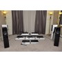 Напольная акустика Verity Audio Rienzi High Gloss Piano Black