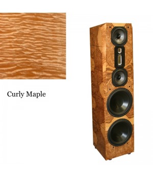 Legacy Audio Focus SE Curly Maple