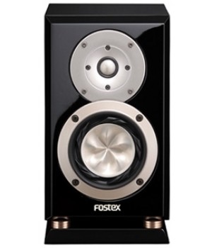Fostex GX100 Limited