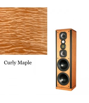 Legacy Audio Focus HD Curly Maple