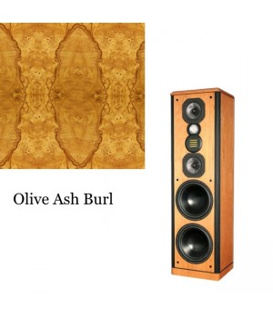 Legacy Audio Focus HD Olive Ash Burl