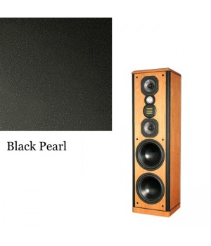 Legacy Audio Focus HD Black Pearl