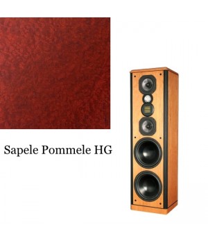 Legacy Audio Focus HD Sapele Pommele HG