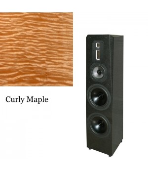 Legacy Audio Signature SE Curly Maple